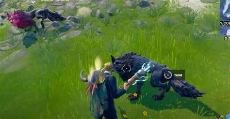 How To Tame Wolves In Fortnite
