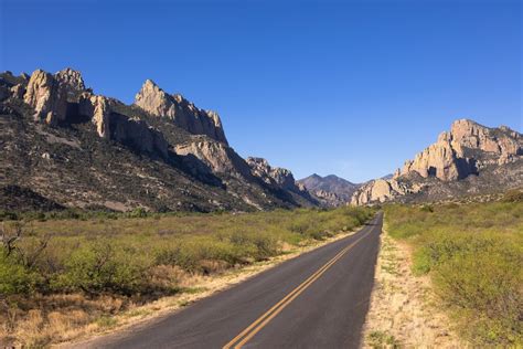 A Birding Adventure In Arizonas ‘sky Islands Explore Cochise