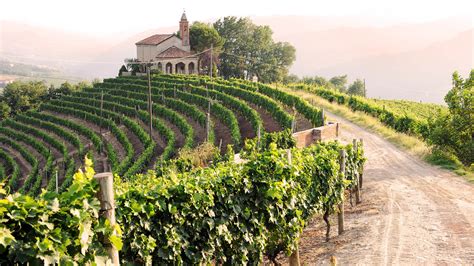 Spanien nimmt knapp sechs siebtel der iberischen halbinsel ein. Spanien befindet sich auf Platz 1 der größten Weinländer ...