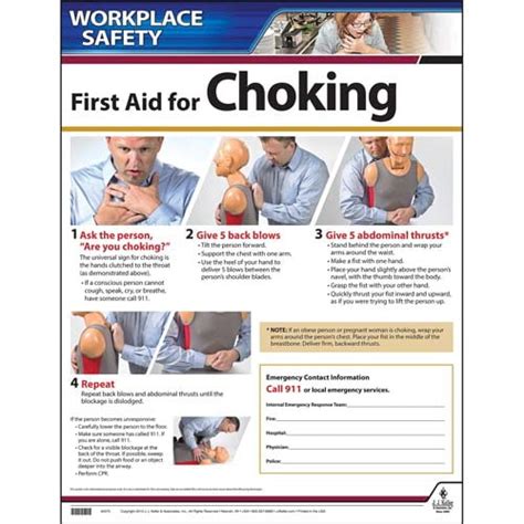 First Aid Choke Saving Instructional Chart