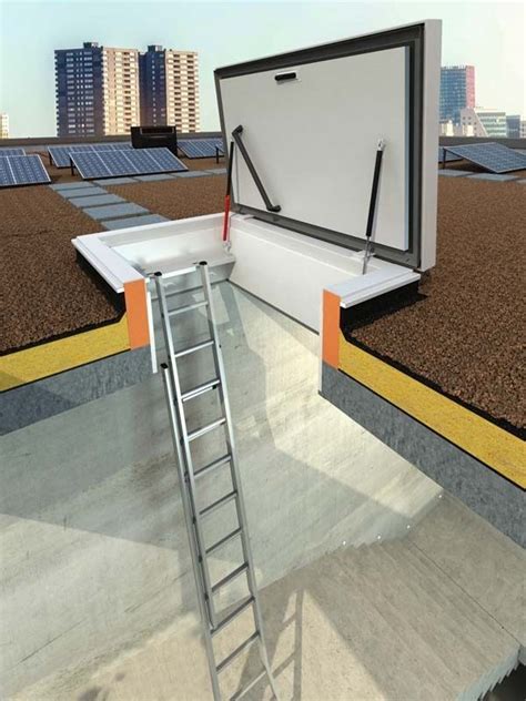 Roof Hatch Ideas Modern Rooftop Access Options Roof Access Hatch