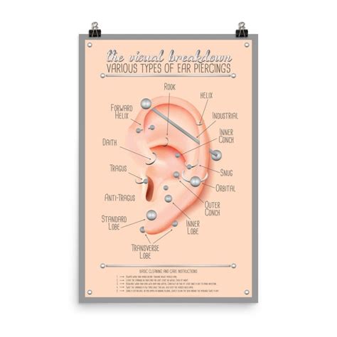 Ear Piercing Infographic Chart Poster Etsy New Zealand