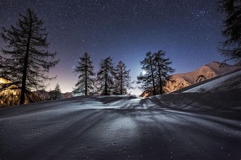 Photography Nature Landscape Trees Night Mountain Moon Snow