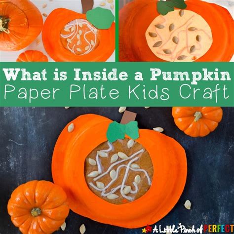 Learning About Whats Inside A Pumpkin Paper Plate Kids Craft A