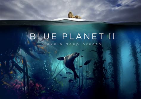 Listen: Radiohead and Hans Zimmer reimagine 'Bloom' for Blue Planet II ...