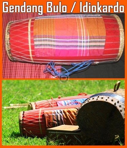 Bentuk serta nada yang dihasilkan dari alat musik tradisional sulawesi selatan ini pada umumnya nyaris sama juga dengan alat musik tradisional serunai dari minang serta selompret dari betawi. Alat Musik Tradisional Provinsi Sulawesi Selatan ...