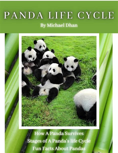 Panda Life Cycle By Michael D By Shapiron Issuu