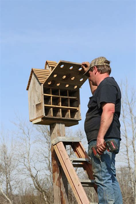 Below you will find free purple martin bird house plans for building, installing and caring for these birds as well as how to increase your chances of attracting them. Pin on bird houses