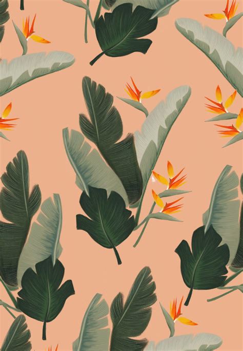 Vintage Tropical Wallpapers Top Free Vintage Tropical Backgrounds