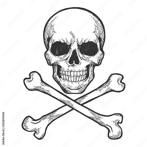 Skull With Crossed Bones Pirate Symbol Jolly Roger Sketch Engraving