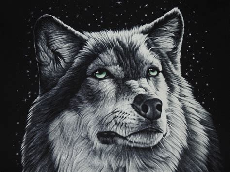 Wolf Head By Exit Humanity On Deviantart