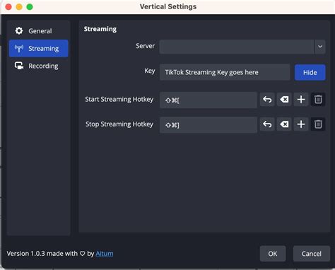 How To Make Tiktoks Shorts And Reels In Obs While You Stream