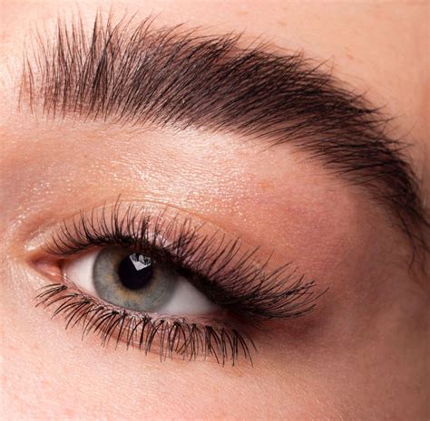 Pinterest Deborahpraha ♥️ Full Natural Brows Eyebrow Makeup Products