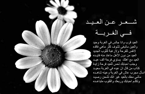 الخيانة في بعض الأحيان تكون الشعور الأجمل، إذا كان الشخص المغدور يستحقها. شعر عن العيد في الغربة و اجمل كلمات حزينة عن العيد في ...