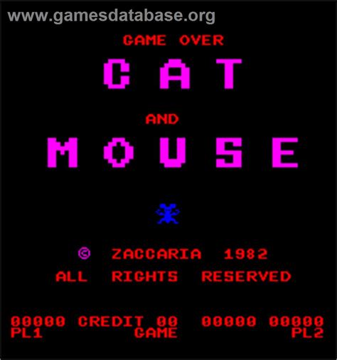 Cat And Mouse Arcade Games Database