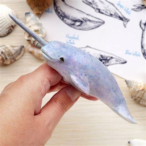 Tanya Holas On Instagram This Baby Narwhal And Few New Whales Will Be