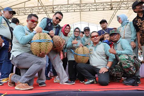 Meriah Ribuan Wisatawan Berebut Durian Di Puncak Kenduren Wonosalam