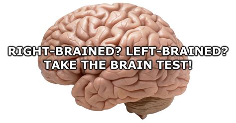 Right Brained Left Brained Take The Brain Test