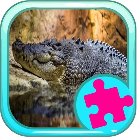 Learn Games Jigsaw Puzzle Crocodile Version By Piyawan Chamnarnchanan