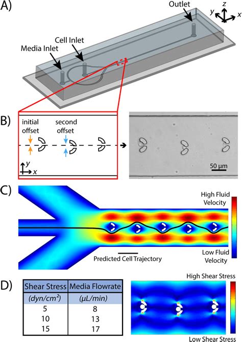 The Microfluidic Device Utilizes An Array Of Traps To Isolate And Download Scientific Diagram