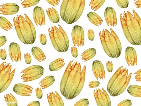 Hand drawn squash blossom flower | free image by rawpixel.com | How to