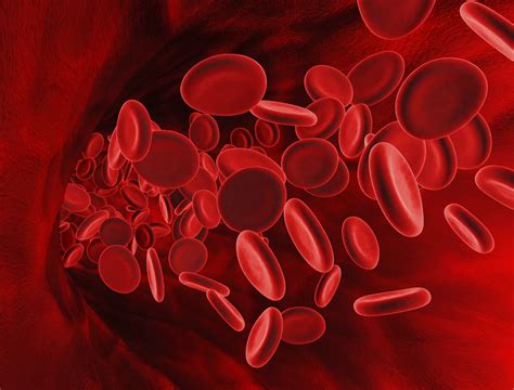 Cultured Human Red Blood Cells Transfusion News