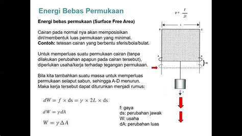 Dari Farmasi Fisika Tegangan Permukaan Youtube