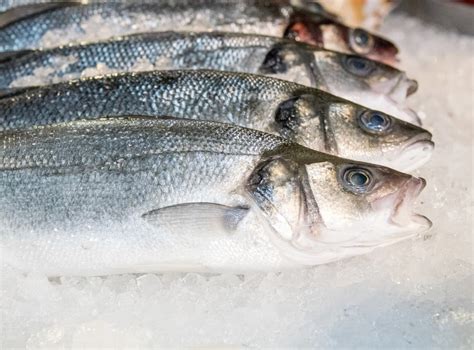 Scottish Fish Prices ‘collapsing By As Much As 80 Due To Brexit