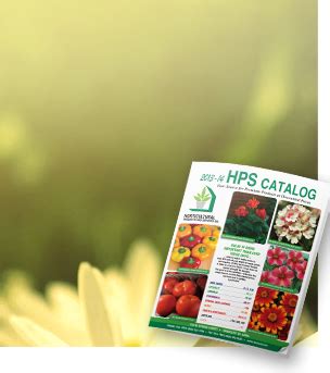 Garden Seed | Vegetable Garden Seed | Garden Seed Catalog | Garden Seed ...