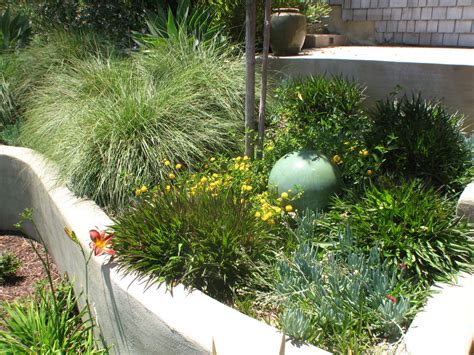 Drought Tolerant Mediterranean Landscape San Diego By Promised