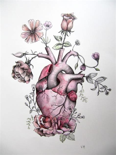 Beautiful Soul Human Heart Drawing Anatomical Heart Art Human