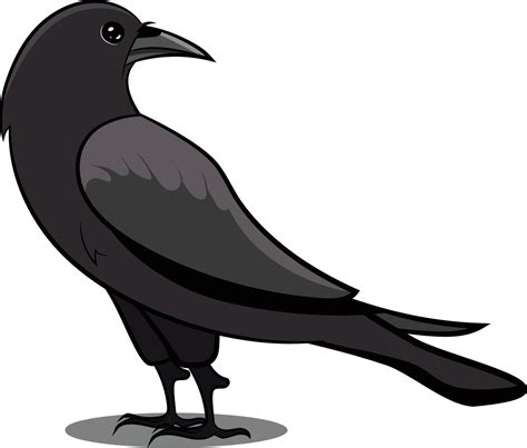 Cuervo Negro Con Sombra Pájaro Negro Aves Comunes 3042280 Vector En