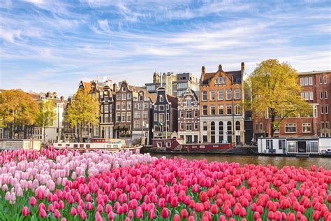 The Netherlands In Pictures 20 Beautiful Places To Photograph Planetware