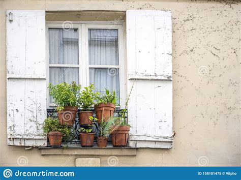 Flowers Pots Outside The Window With Old Shutters Stock Image Image
