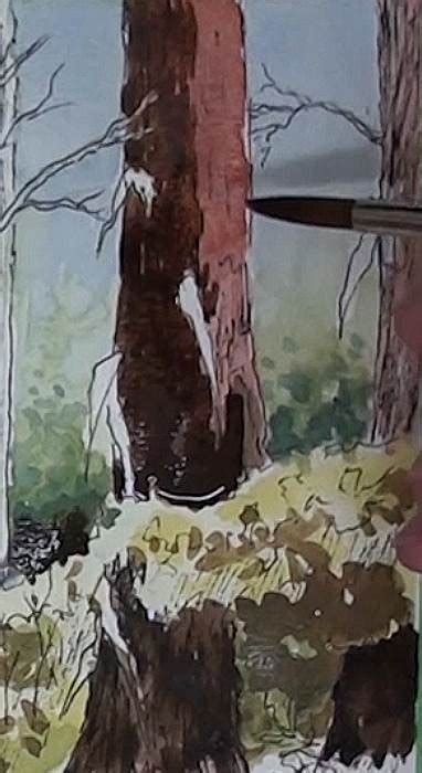 How To Paint Bluegum Trees In Forest In Watercolor — Online Art Lessons