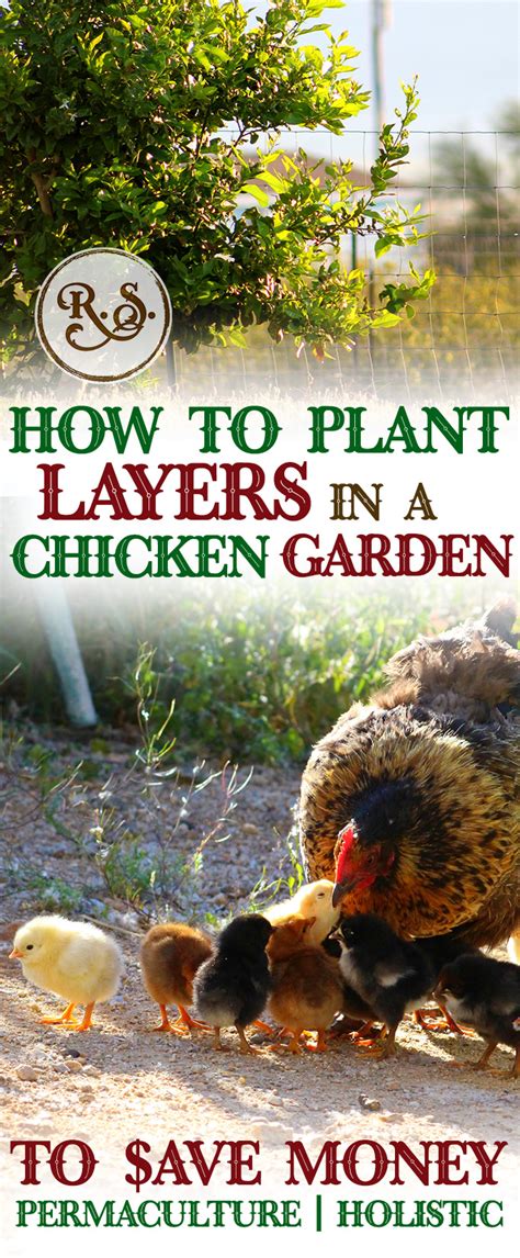 This technique is useful in so many dishes. How to Grow a Sustainable, Permaculture, DIY Chicken ...