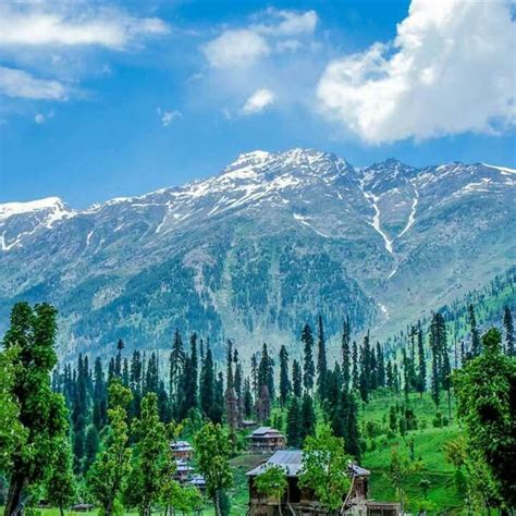 Neelum Kashmir Pakistan Pakistan Nature Scenery Pictures