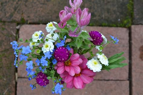 Venues around the country have 2021 weddings still available, so whether you have been dreaming about a late summer special day, amazing autumn celebration or wonderful winter wedding. Wedding Flowers from Springwell: Chinese Forget-Me-Nots ...