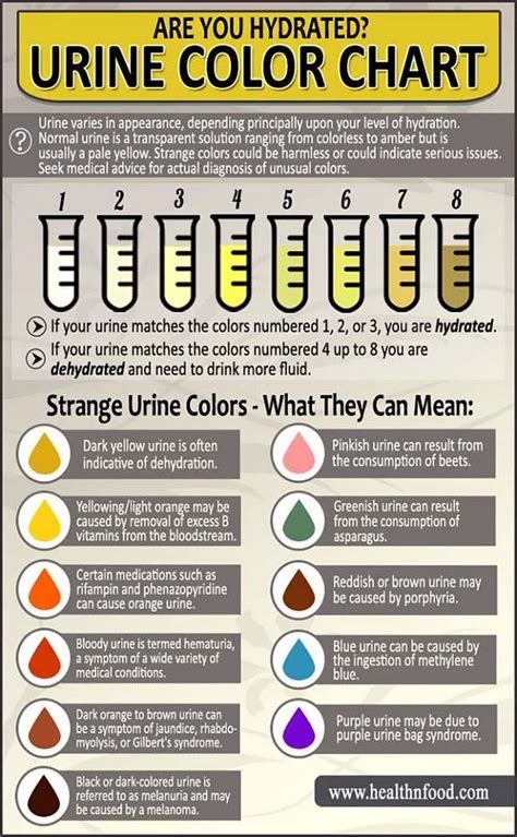 Urology Infographic What Your Urines Color Means Color Of Urine Urine Color Chart Nursing