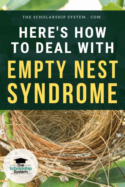 Here S How To Deal With Empty Nest Syndrome The Scholarship System