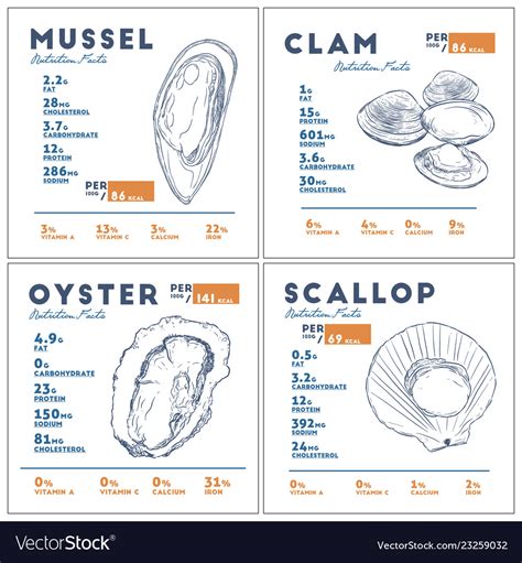 Nutrition Facts Of Mussel Clam Oyster Royalty Free Vector