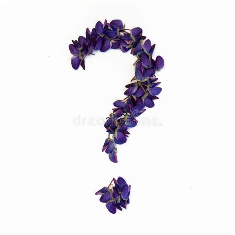 154 Question Mark Flowers Stock Photos Free And Royalty Free Stock