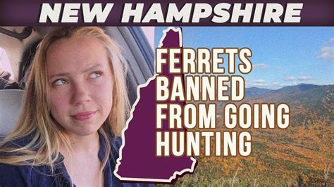 Weird Laws And Facts New Hampshire First Time Visitor Youtube