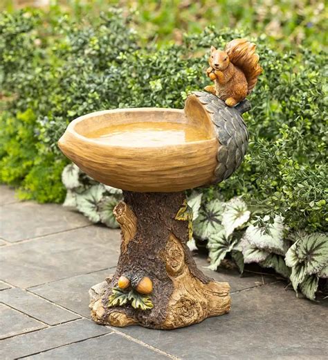 Youll Love Everything About This Squirrel Birdbath With Tree Trunk