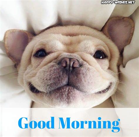 Good Morning Wishes For Puppy Lovers