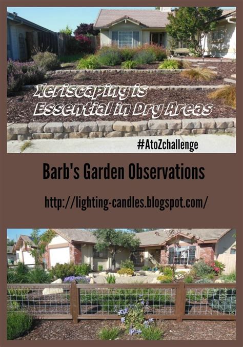 Barbs Garden Observations Xeriscaping Is Essential In Dry Areas