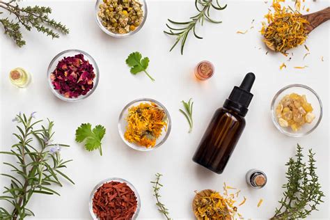The Importance Of Phytotherapy And The Intended Use Of Medicinal Plants