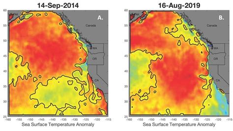 A Second ‘blob Marine Heat Wave Has Disappeared But The
