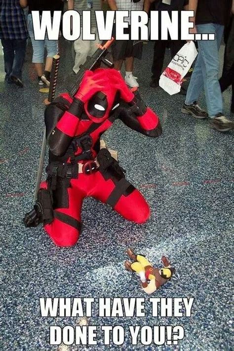 Click to see the full post now. 16 Super Funny Memes Of Deadpool And Wolverine That Will ...