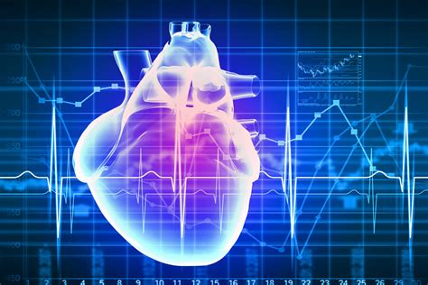 Reinforcing The Human Heart Integrating Human Cells